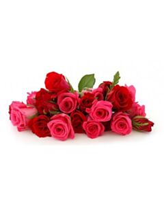 25本の赤とピンクのバラ束 / 花束