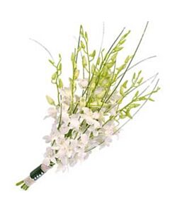 Bouquet di orchidee