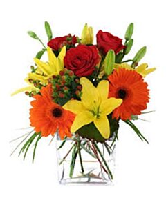 Halo-halong Bulaklak sa Vase, 24 na Bulaklak
