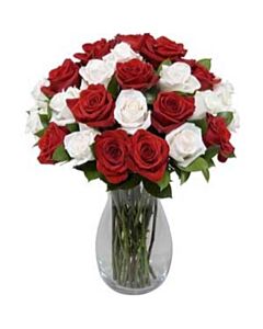 Red and White Roses in Vase 36 Blooms