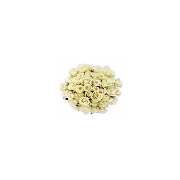 白色的玫瑰花束鲜花75