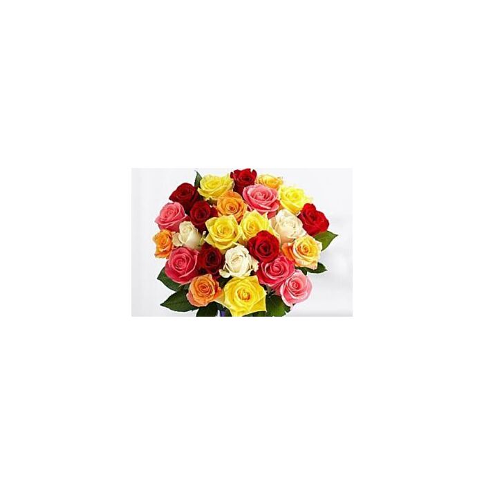 Magical Sunny Mixed Roses