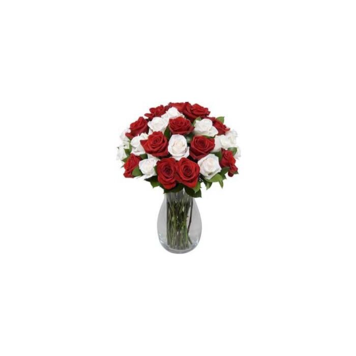 Red and White Roses in Vase 36 Blooms